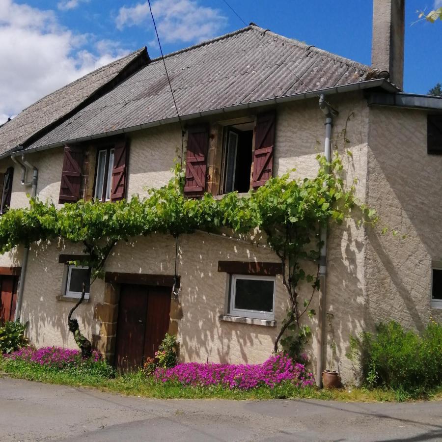 Maison familiale Voutezac Bagian luar foto